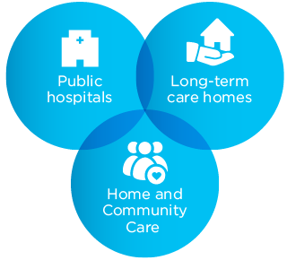 graphic of what we oversee: public hospitals, long-term care homes, community care access centres