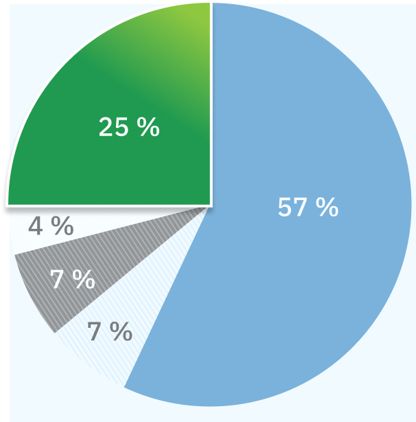 Le graphique circulaire met en évidence les 25 % des plaintes qui relèvent de la catégorie « Services de santé qui ne relèvent pas de la compétence de l’Ombudsman des patients ».